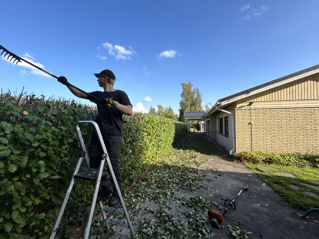 Pensasaidan leikkaus Hämeenlinna